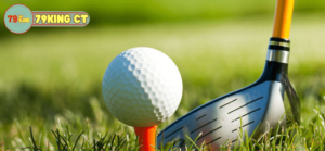 golf tai 79king